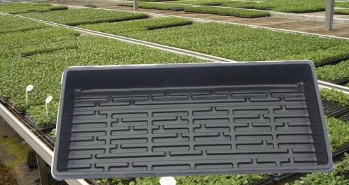 ��������P