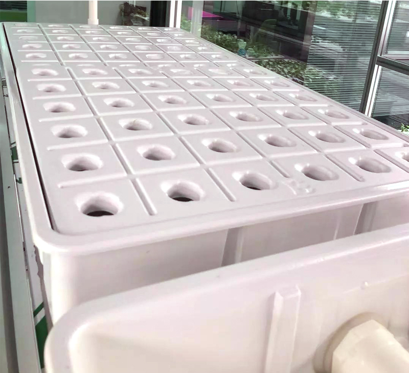 �߲������P-���������P