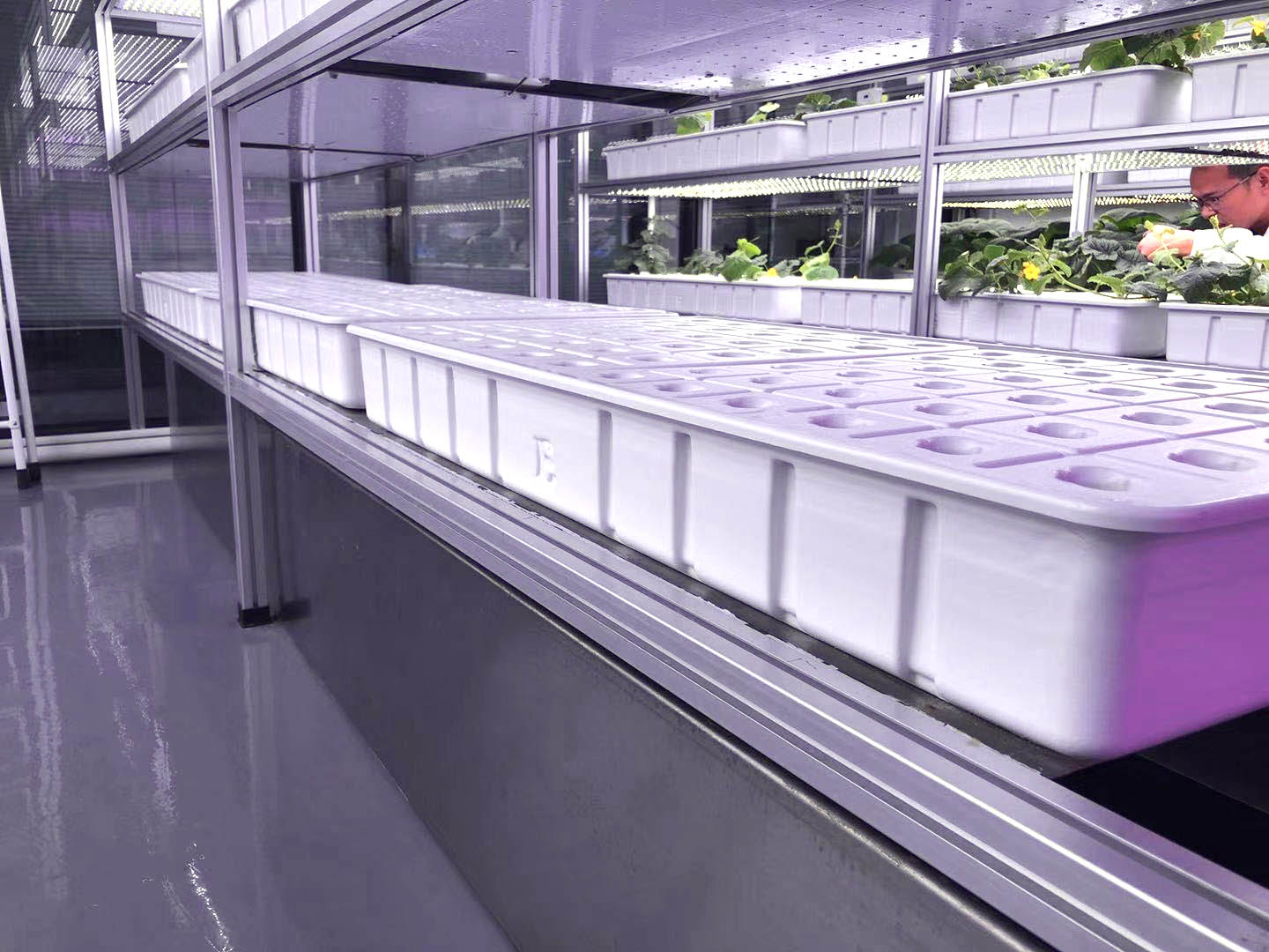 ABS���ϷNֲѨ�P